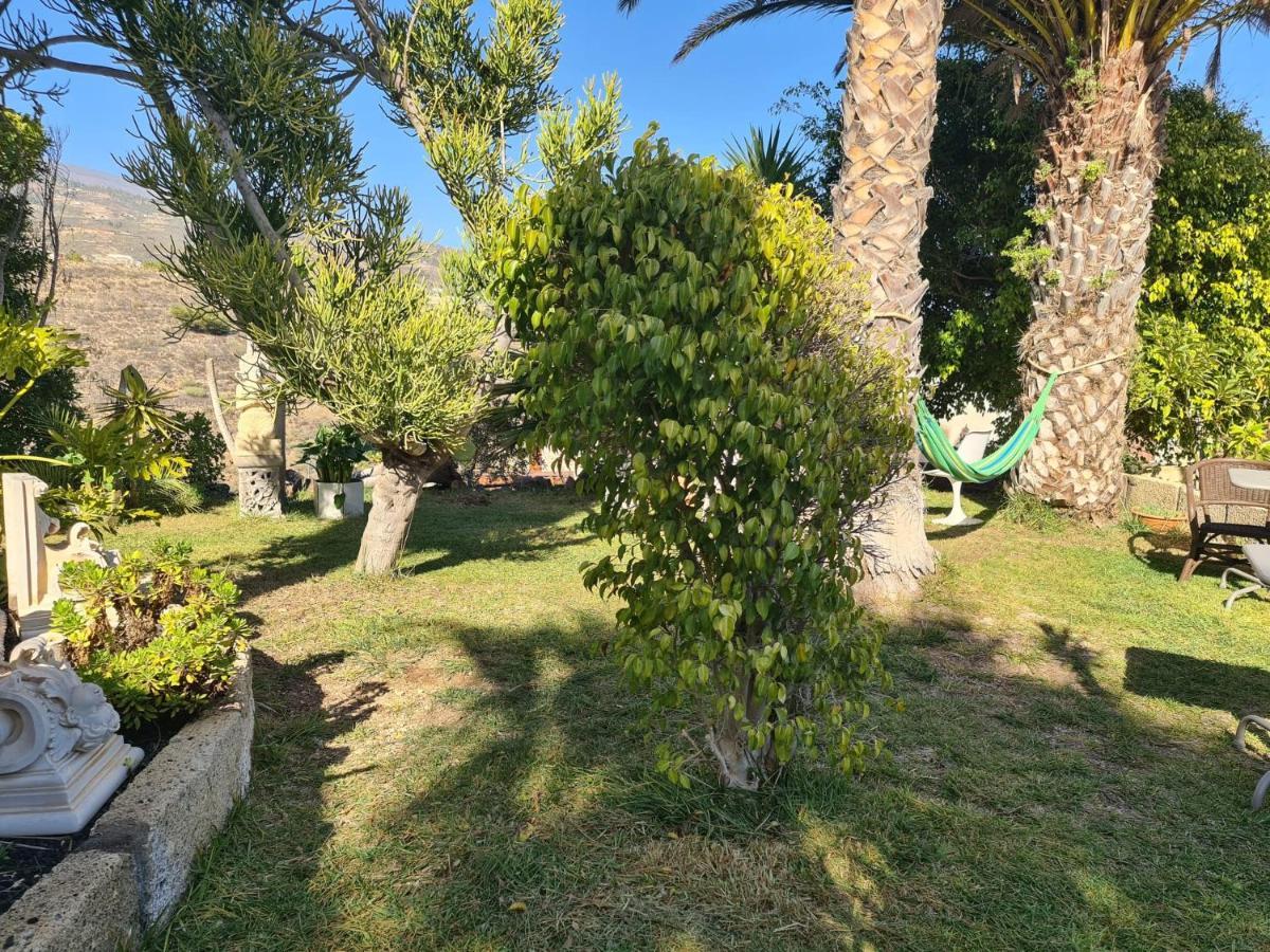 Finca Tropical Arico Viejo Eksteriør billede