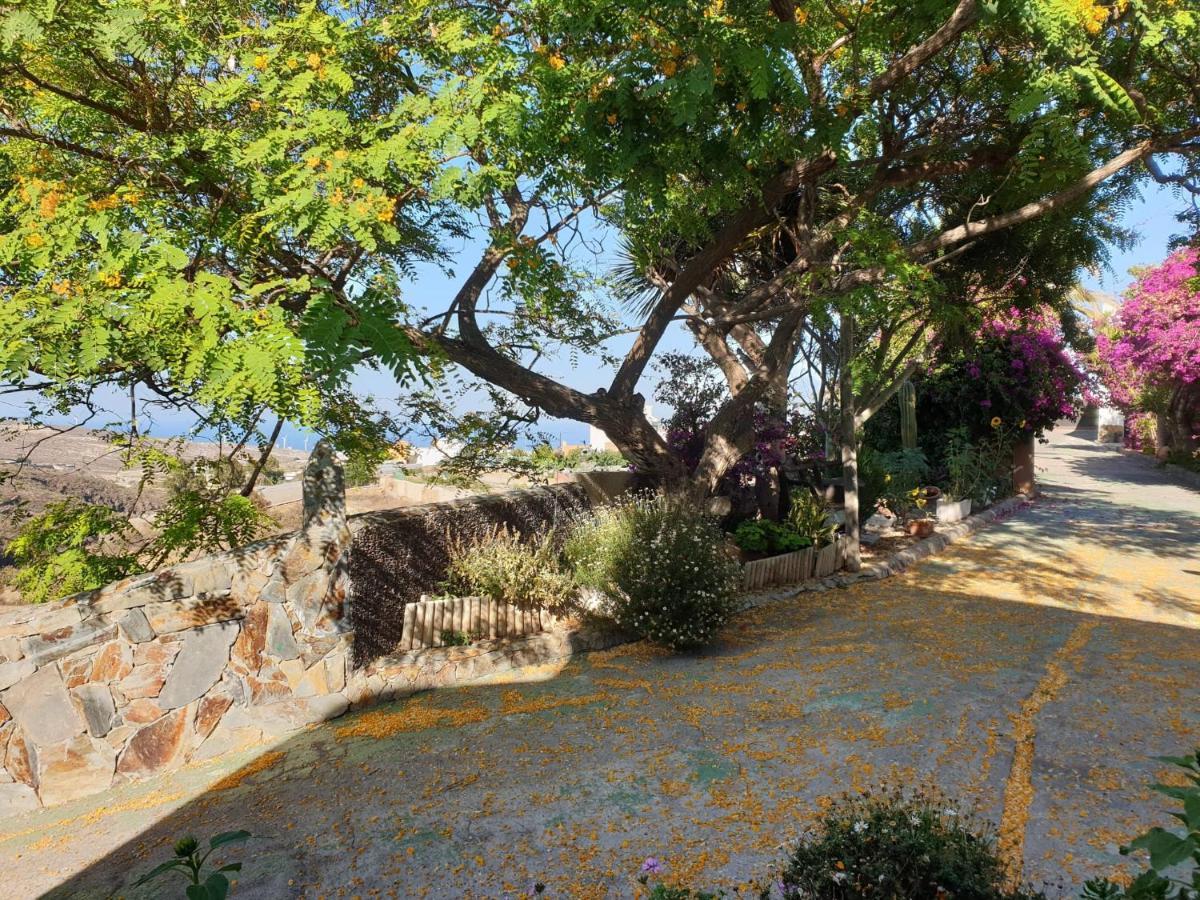 Finca Tropical Arico Viejo Eksteriør billede