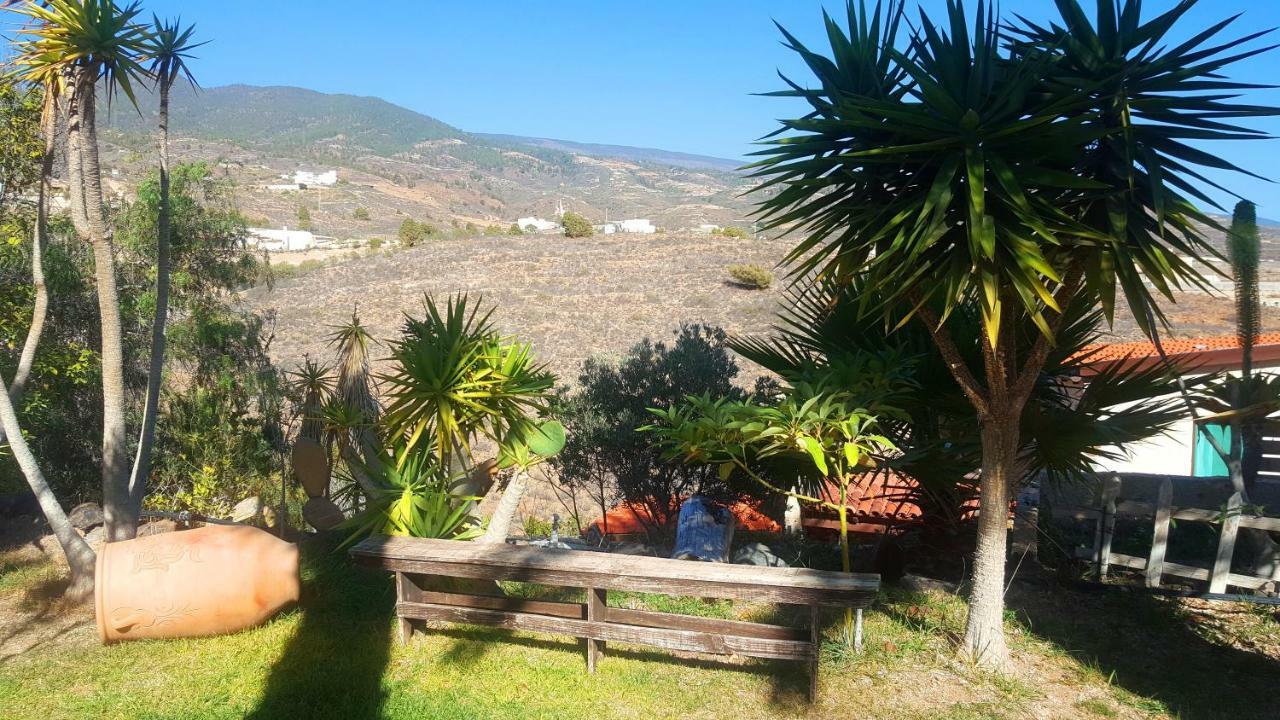 Finca Tropical Arico Viejo Eksteriør billede
