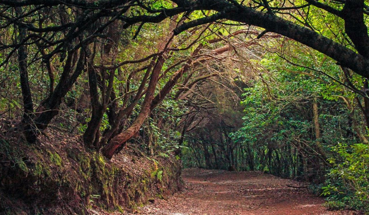 Finca Tropical Arico Viejo Eksteriør billede